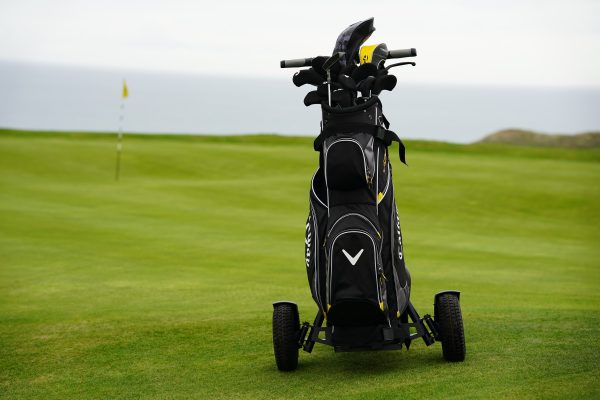 FliCart Caddy - Image 2